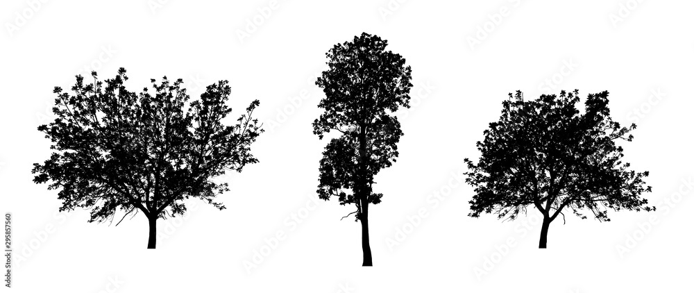 Poster isolated set of trees silhouette for brush collection on white backdrop