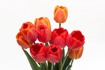 Fototapeta premium Bouquet of red tulips isolated on white background. Top view. Close-up.
