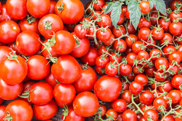 Ripe tomatoes on a wooden tray. On the grass