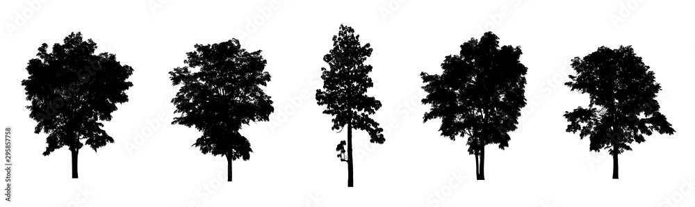 Poster isolated set of trees silhouette for brush collection on white backdrop