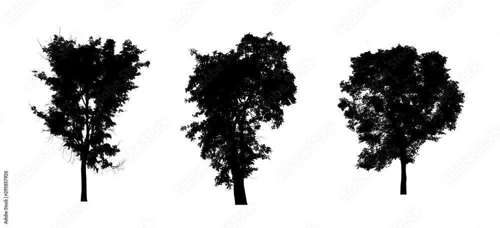Poster isolated set of trees silhouette for brush collection on white backdrop