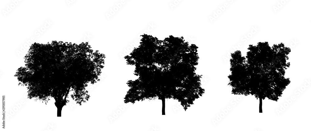 Poster isolated set of trees silhouette for brush collection on white backdrop