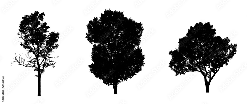 Poster isolated set of trees silhouette for brush collection on white backdrop