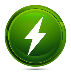 Electric bolt icon glassy green round button illustration