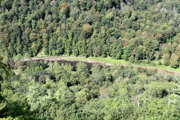 View of the gorge, stream at the Pennsylvania Grand Canyon.