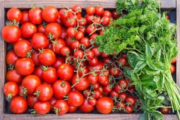 Cherry tomatoes in old wooden tray.