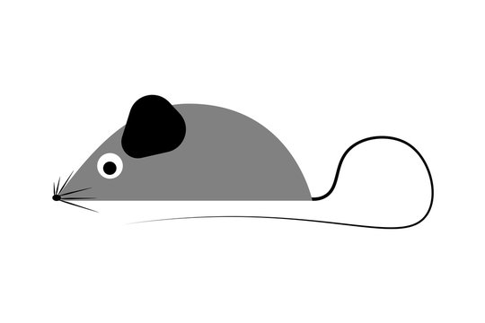 Gray cartoon mouse with long tail on white isolated background. Simple shapes, flat design