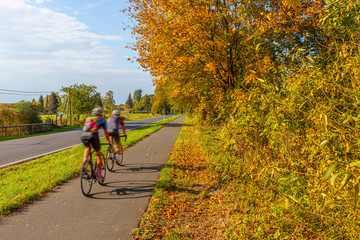 Brandenburg, Barnim, Radweg, Radsport im Herbst, Rennrad, Herbstzeit, Herbstfarben, Bike, Urlaub...