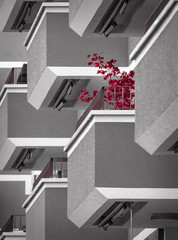 natur im urbanen raum