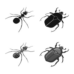 Vector illustration of nature and wildlife icon. Collection of nature and wing stock symbol for web.
