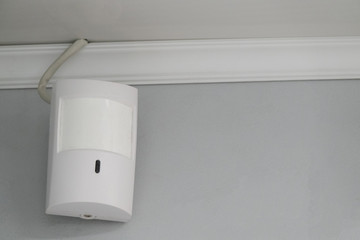 Infrared sensor is a passive infrared detector with pet-immunity detection.
