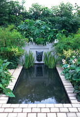 An attractive designed water feature with plants, shrubs and flowers for an urban garden