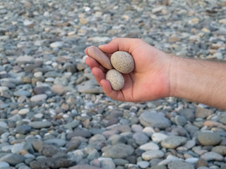 Sea and stones in the evening