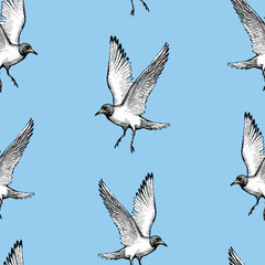 Seamless background of flying sea gull sketches