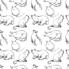 Seamless pattern of domestic cat slketches