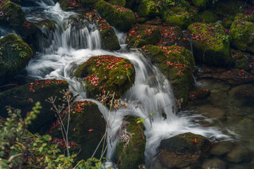 water flow on little stream in autumn. Slovenia landscape. river falls. - 295863756