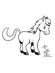 Pony Pferd sitzen spass blumen Mädchen süss lieb springen spielen frech lächeln 1c