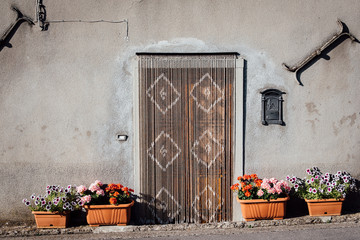 porte avec un rideau contre les insectes et des fleurs de chaque côté de la porte