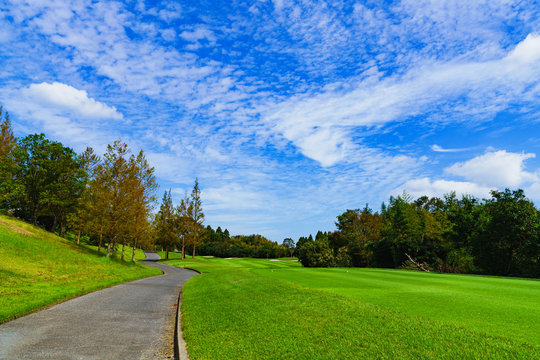 Image of management : landscape of Japanese golf scene in fairway ( safety area )