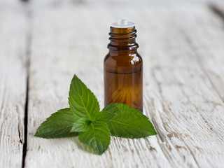 Mint oil