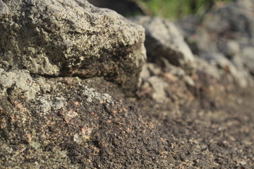 rocks on the beach