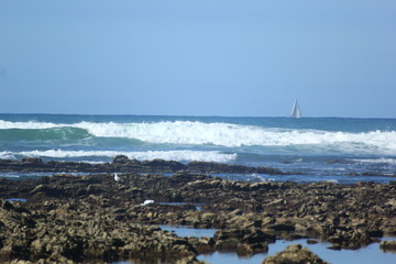 vagues et ocean