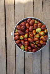 fresh healthy tasty jojoba fruit