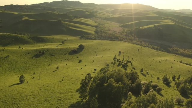 Aerial Drone Footage View: Flying over spring mountains, hills and meadows with pine forests in sun soft light. Fly out. Europe. Beautiful landscape