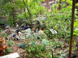 Midden in market behind is wood home,Tree is surround,At market Bangkachao Bangkok Thailand