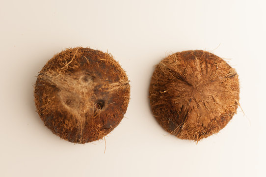 two halves of coconut shell on a white background, isolate. Future food bowls zero waste. Environmentally friendly material for dishes. Copy space.