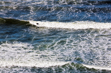 Top View of Surfer in Pacific Ocean