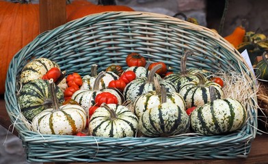 White and green pumpkins together with small red ones in a wicker basket