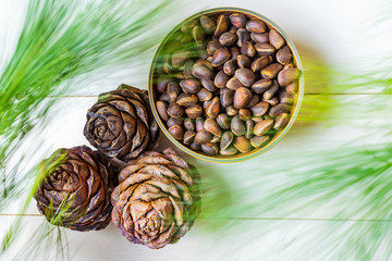 Cedar cone, nuts and a branch of Siberian cedar on a light wooden background. The concept of wholesome food, organic food, vegetarianism. Top view, place for text. Pignolia nuts