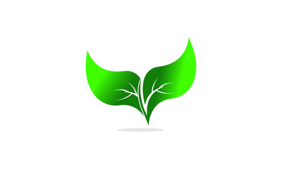 Green eco leaves logo vector illustration