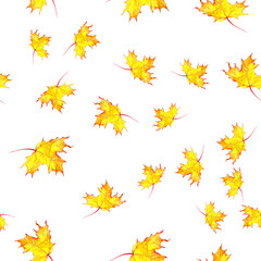 Fototapeta na wymiar Seamless pattern with autumn maple leaves. Watercolor design for fabric, packaging, paper. Hand drawn