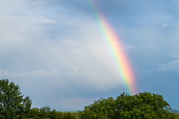 Rainbow over trees and agricultural fields with cloudy sky in background