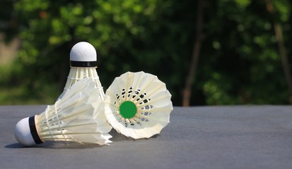 Badminton balls are sports equipment that people like to play for exercise. And play to be a winner in sporting events