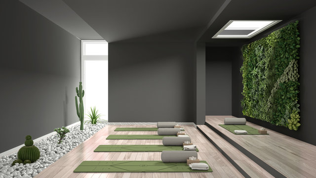 Empty yoga studio interior design, open space with mats, pillows and accessories, parquet, vertical garden and succulent plants with pebbles, ready for yoga practice, meditation room