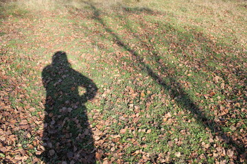 Fototapeta premium Nature