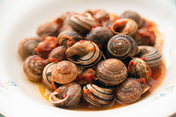 Piatto di lumache in salsa piccante, piatto tipico dalla Sardegna