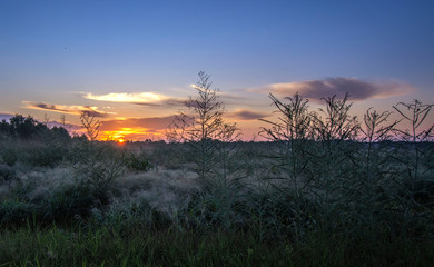 Fototapeta na wymiar The prairie at sunrise!