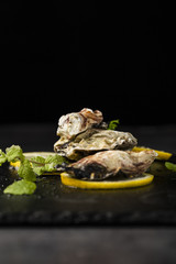 Arrangement with tasty shells and dark background