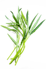 Fototapeta premium close up pack of chinese morning glory after harvested is on white background, fresh organic vegetable, thai people cook with chilli in hot vegetable oil