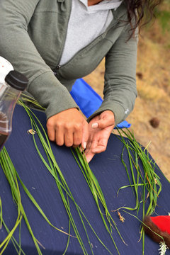 Braiding Sweetgrass demonstration: preparing the stands of grass.