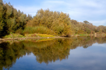 Fototapeta na wymiar autumn landscape with river and trees