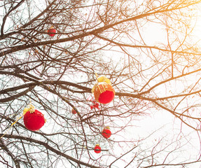 Decorated Christmas tree with red balls on the eve of the holiday. Background, copy space