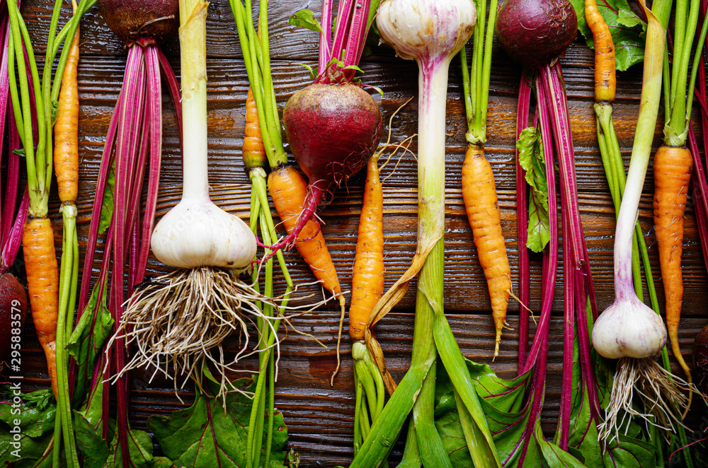 Wall mural Vegetarian background of fresh organic beetroots green garlic and carrots on kitchen wooden rustic table