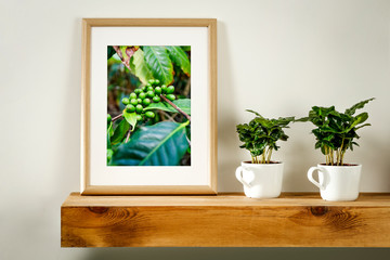 Coffee background of free space and fresh coffee plant 