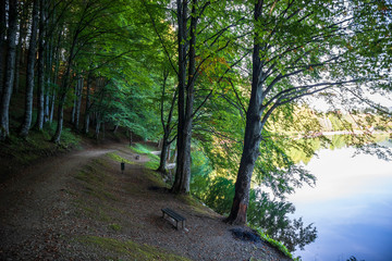 Obraz premium Footpath through forest by the Balkana lake in Bosnia and Herzegovina