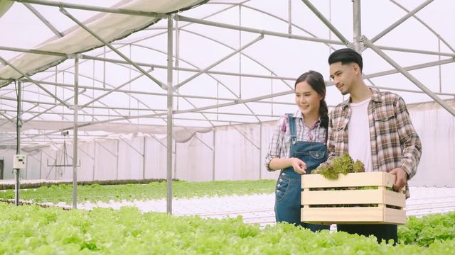 4k slow handheld asian couple farmer takecare and discuss how to growth plant in hydroponic farn greenhouse background